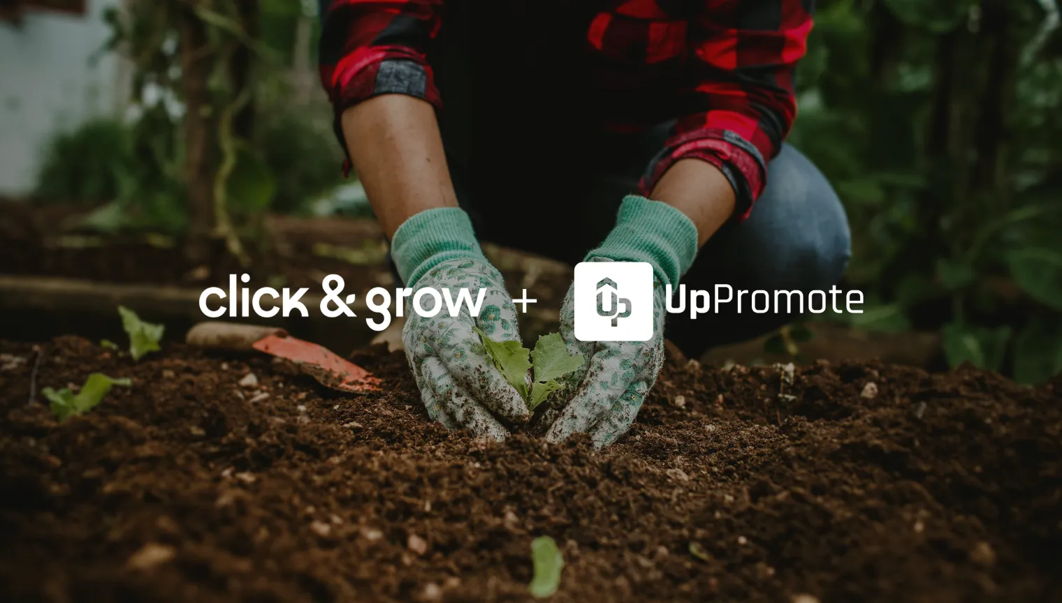 BFCM Success Recipe: How Click & Grow Drove a 272% Revenue Surge During BFCM