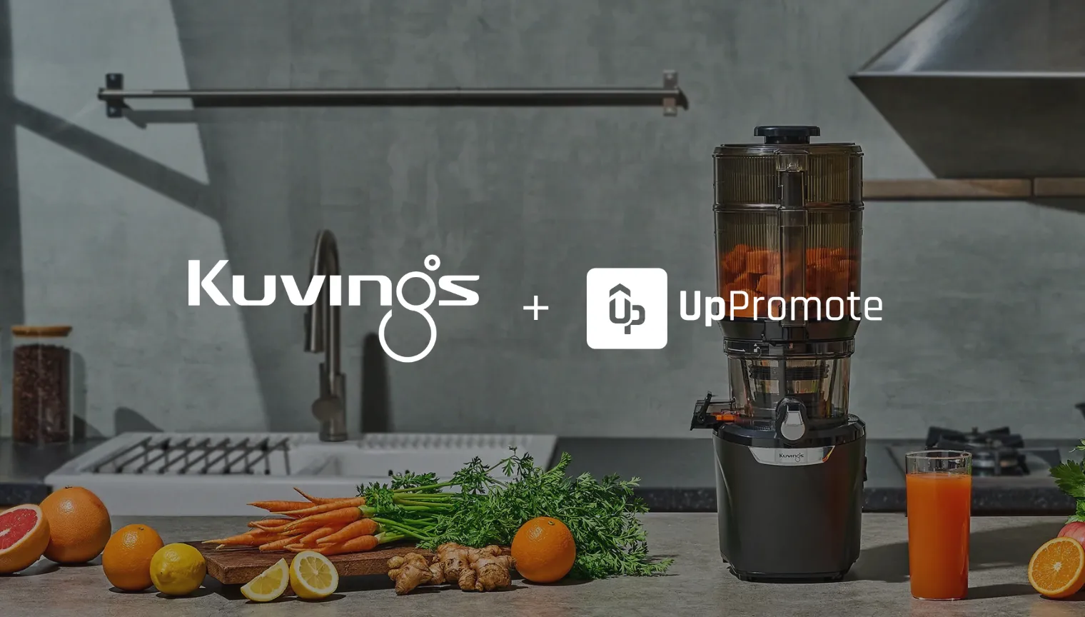 Performance-Driven Rewards: How Kuvings Deutschland Created a Winning Affiliate Program