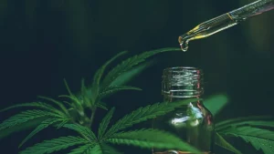 CBD affiliate programs