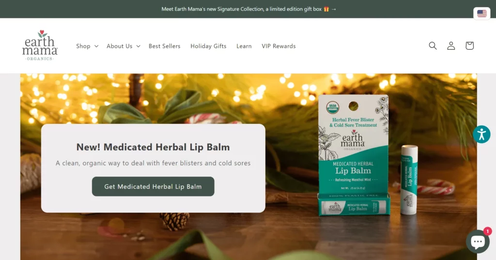 mom blogger affiliate program 10