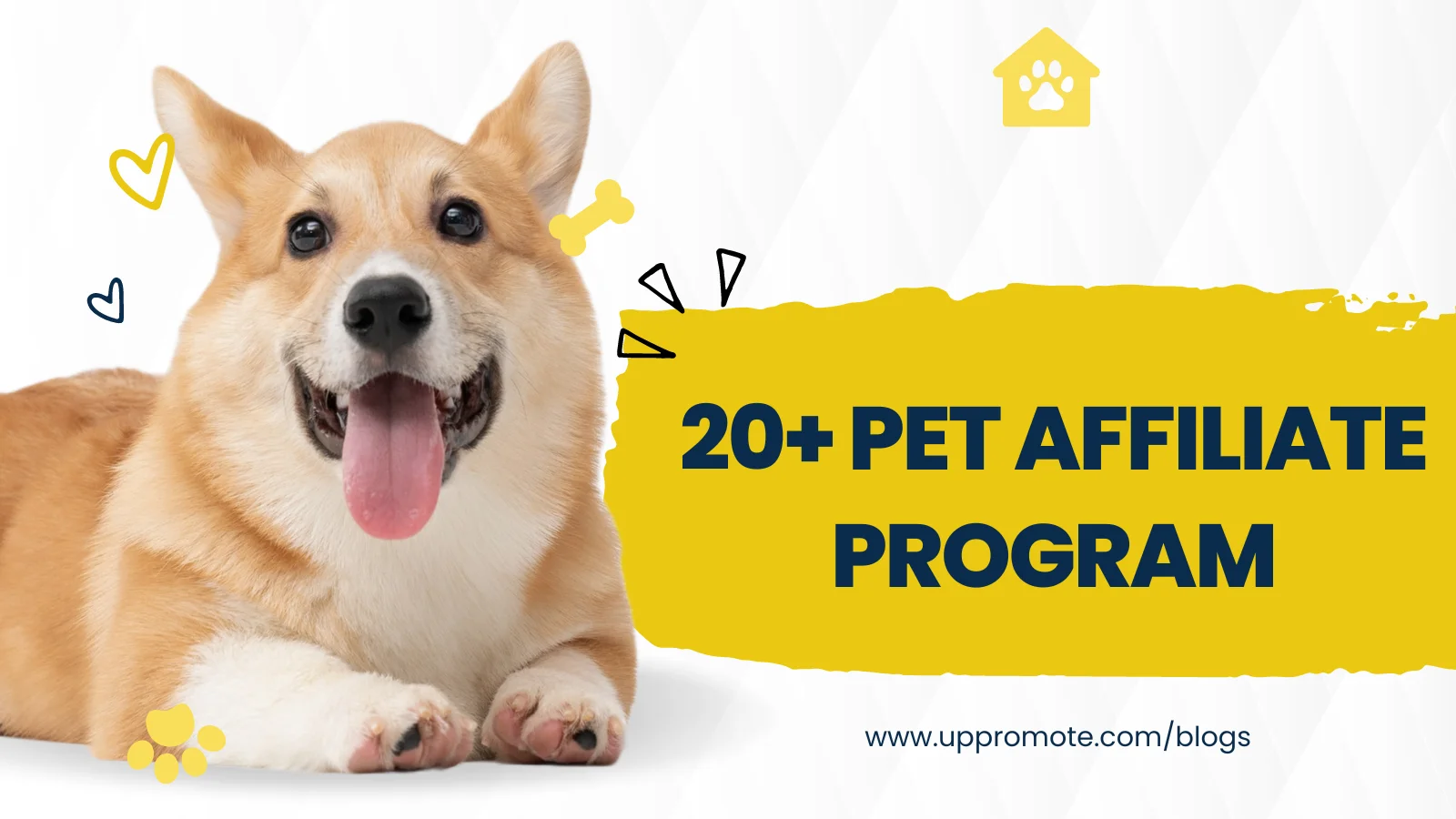 Top 40 Best Pet Affiliate Programs in 2025 (Food, Furniture, Supplements, and Health Trackers)