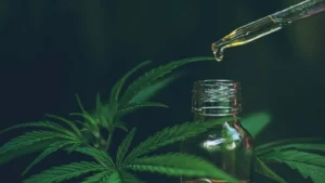 Top 25 Best CBD Affiliate Programs in 2025