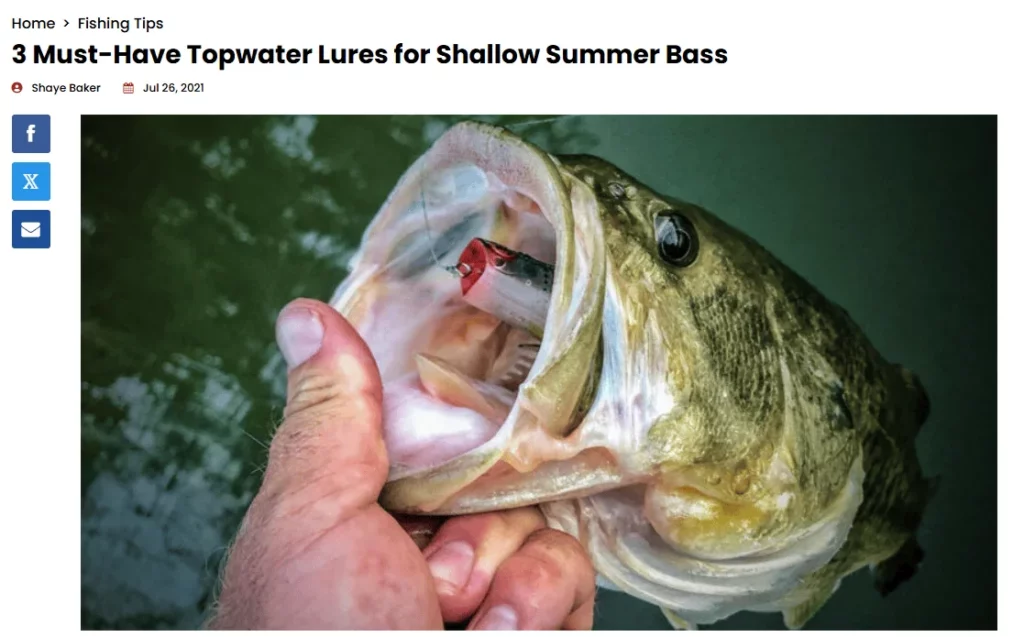 Top 18 Best Fishing Affiliate Programs & A Merchant's Guide to Creating Your Own (2025) 2 How to Choose Which Fishing Affiliate Programs to Promote