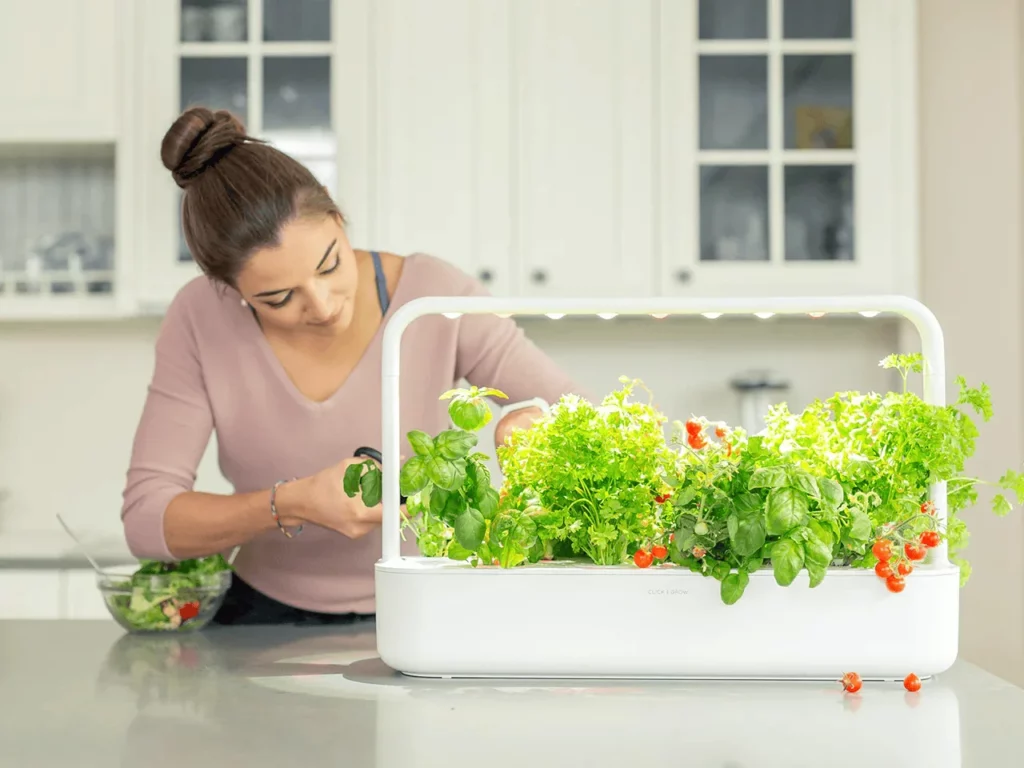 click and grow 1