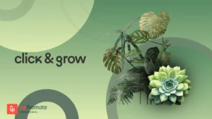 BFCM Success Recipe: How Click & Grow Drove a 272% Revenue Surge During BFCM